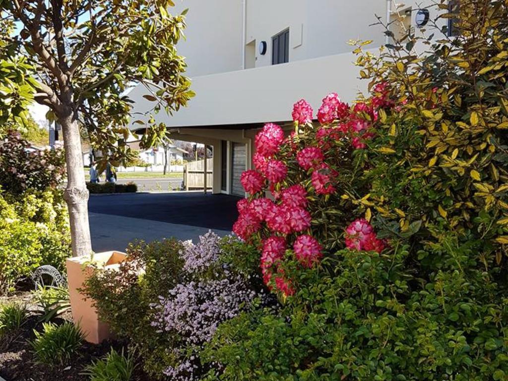 Bella Vista Motel & Apartments Κράισττσερτς Εξωτερικό φωτογραφία